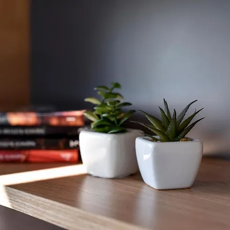 Fux Luxury Infinty-pool * Задар